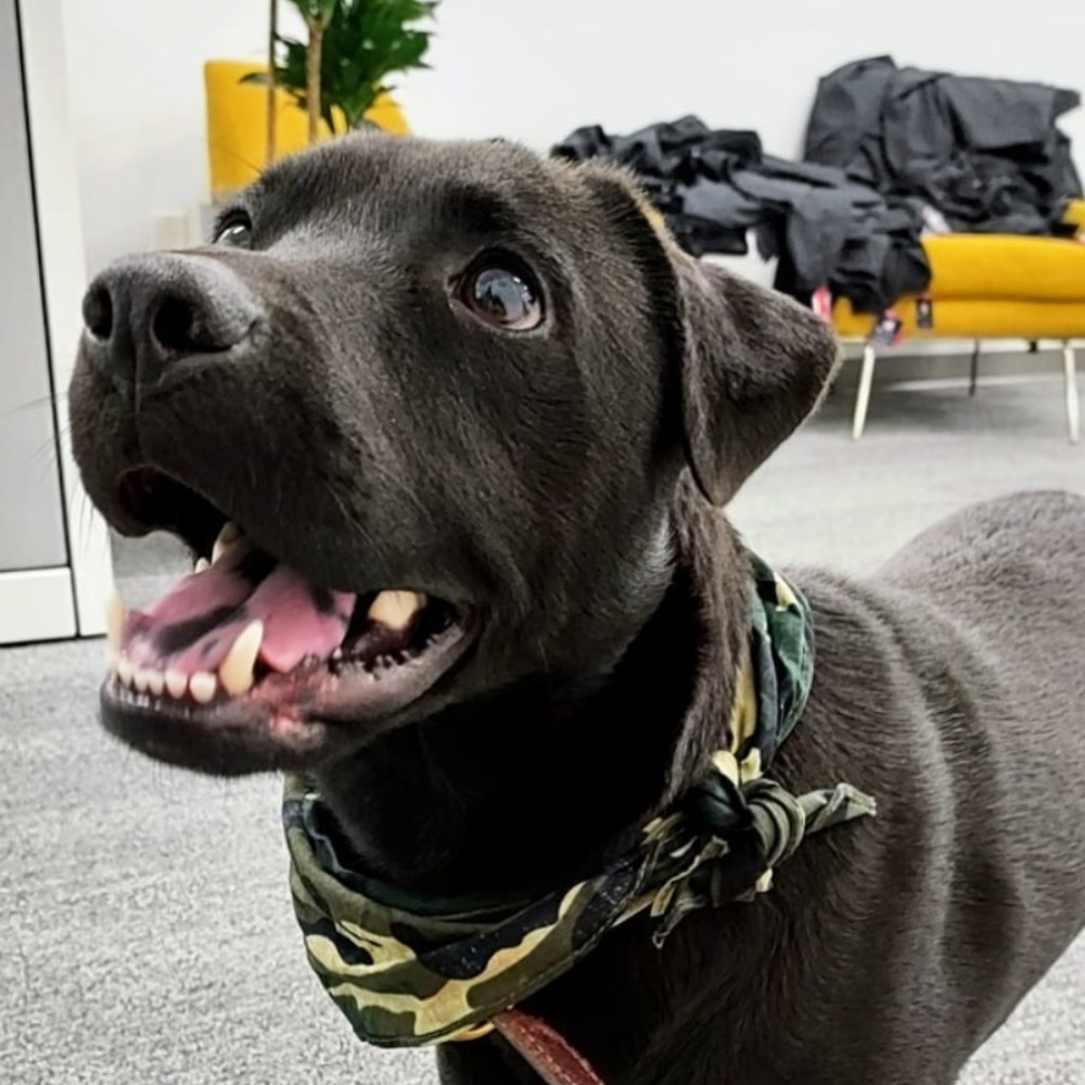 Meet your Posher, Mikaela